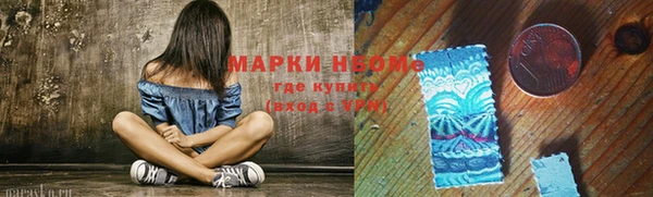 сатива Михайловка