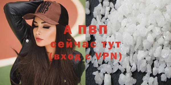 прущие грибы Алагир